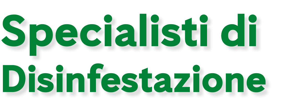 Specialisti di Disinfestazione